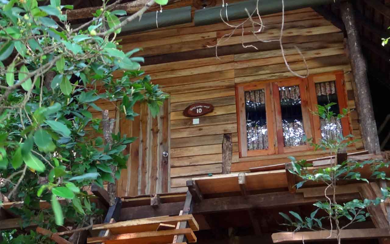 Amuna_Ayurveda_Retreat_Sri_Lanka_Spezialist_Zimmer_Tree_House_3