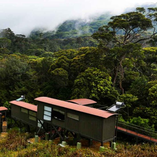 Rainforest_Ecolodge_Sri_Lanka_Spezialist_Chalet_3