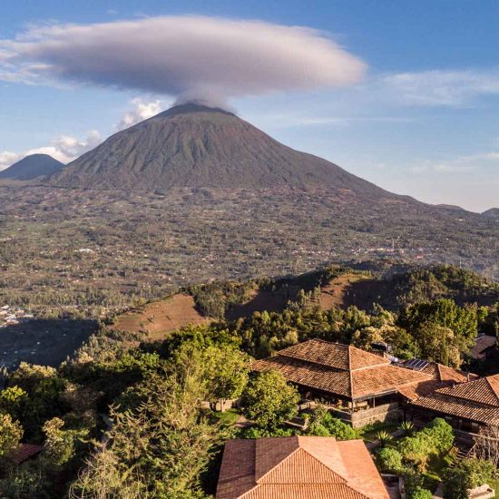 Virunga_Lodge_Volcanoes_Nationalpark_Runada_Spezialist_Kachel