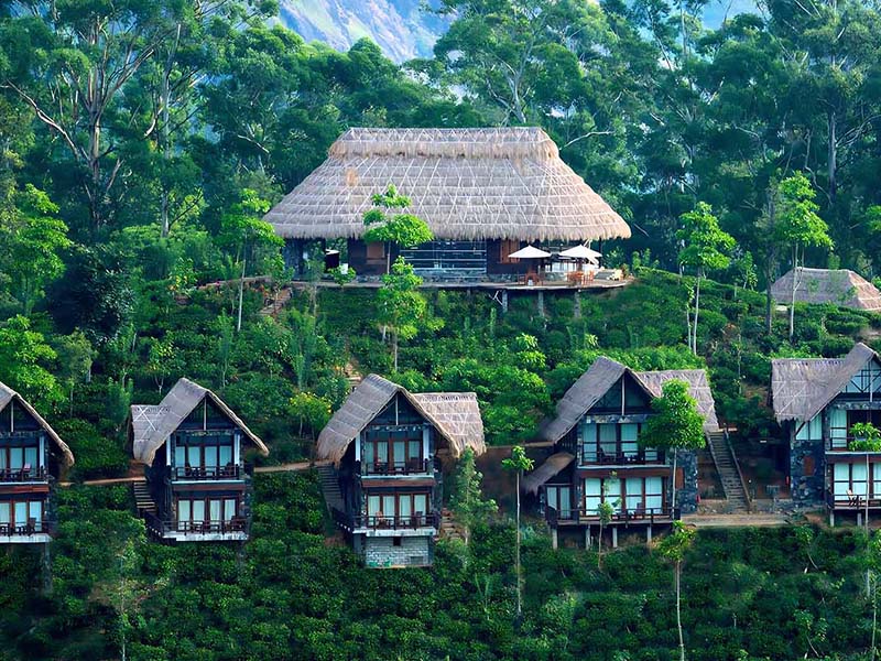 Home 6