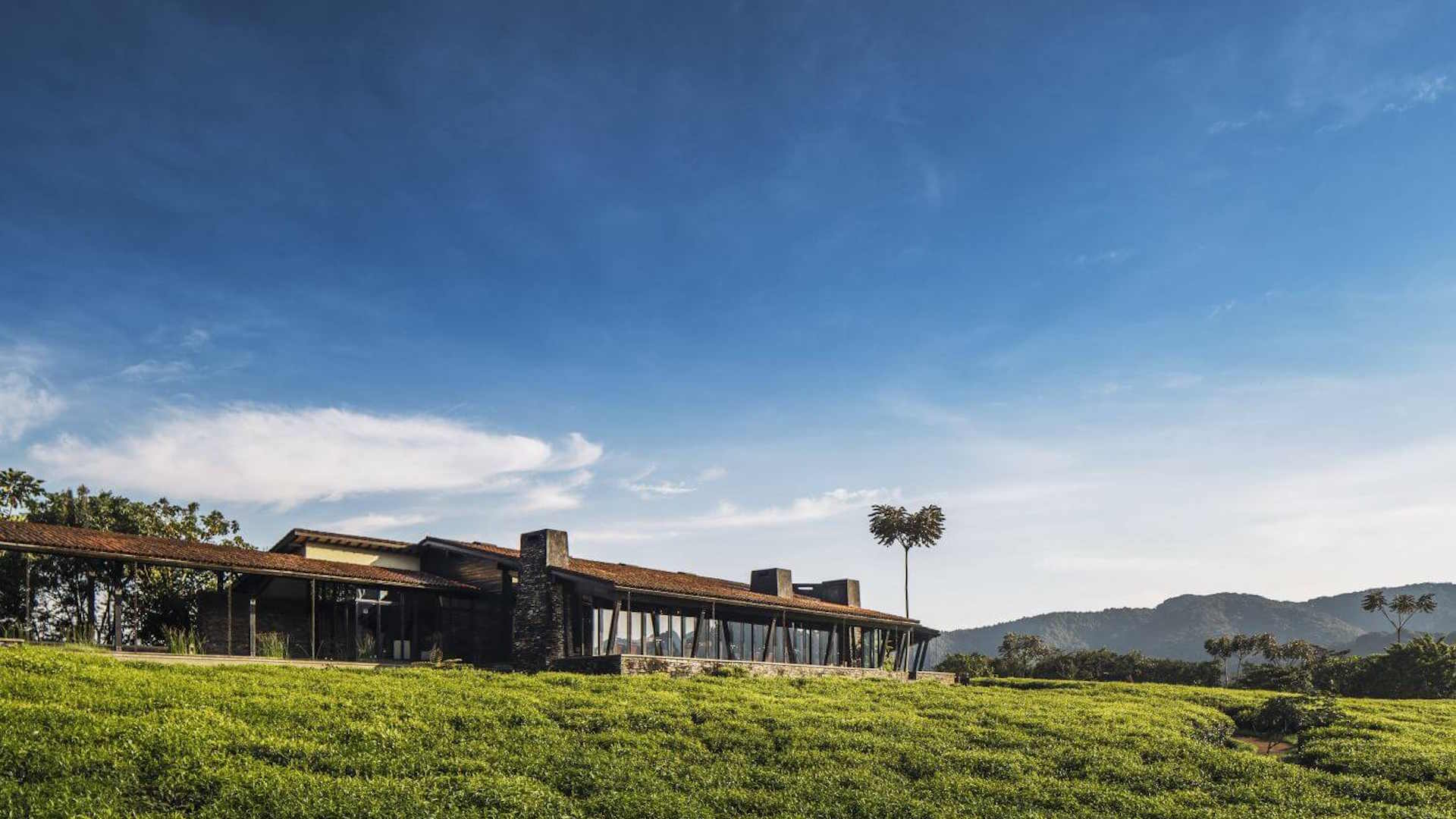 One&Only Nyungwe House